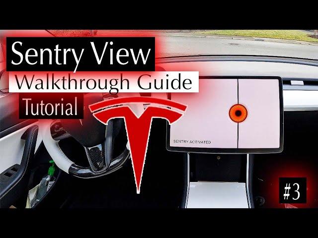  Tesla Sentry Mode: A Very Very Very In Depth Walkthrough Guide // #3