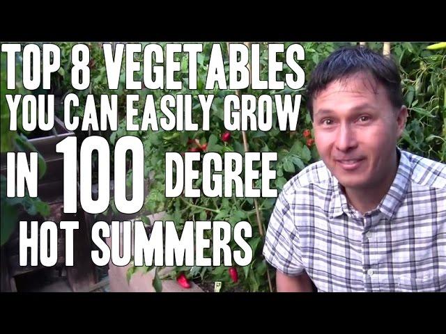 Top 8 Vegetables You Can Easily Grow in 100+ Degree Hot Summers