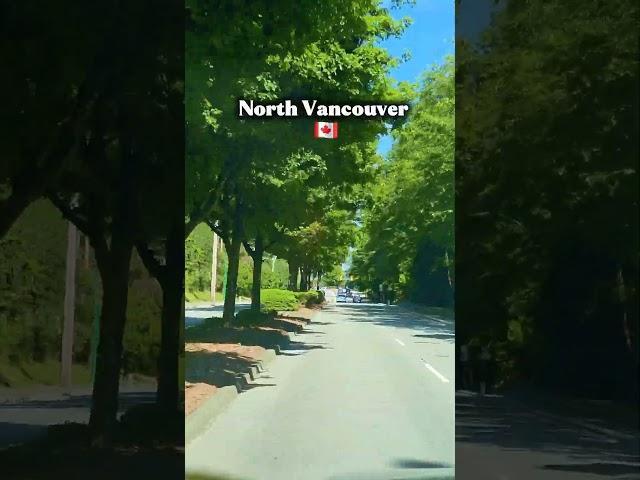 North Vancouver: where lush greenery greets you at every turn!  #britishcolumbia #canada #nature