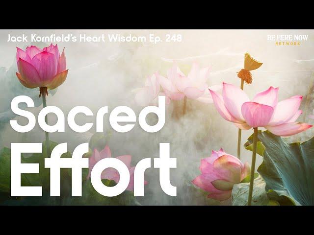 Jack Kornfield on Sacred Effort - Heart Wisdom Ep. 248