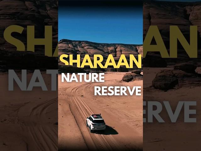 Sharaan Nature Reserve #saudiarabia #Nature #travel #contentcreator #adventure #video #reels