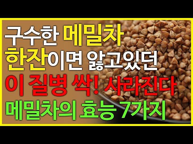 메밀차의 효능 7가지, 매일 메밀차 한잔만 마셔도 이 질병 싹 없애버립니다!