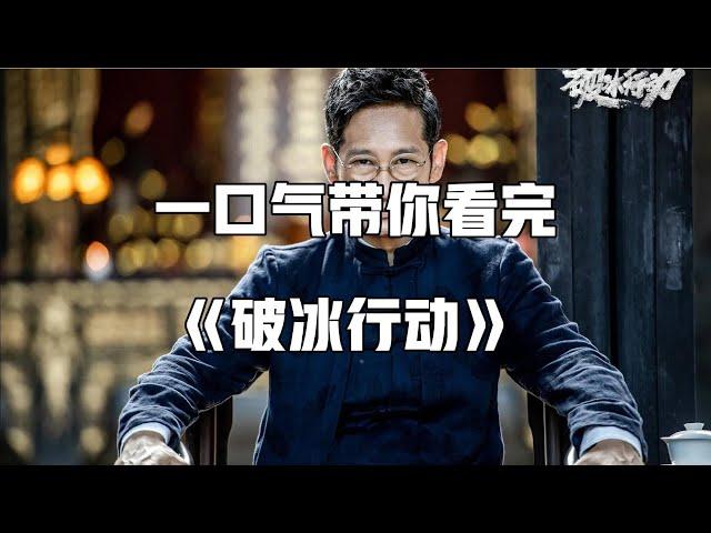 一口气看完，高分电视剧《破冰行动》，全程高能无尿点！爽到爆！