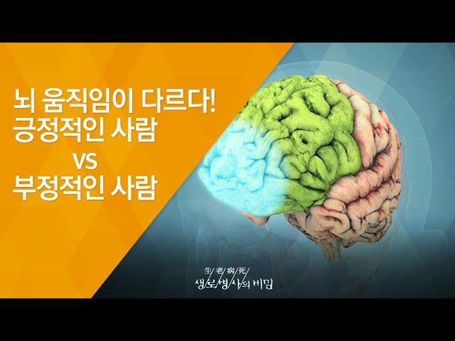 뇌 움직임이 다르다! 긍정적인 사람 vs 부정적인 사람 - (2017.1.25_608회 방송)_행복한 사람들의 비밀 - 긍정의 힘, 감사의 마음