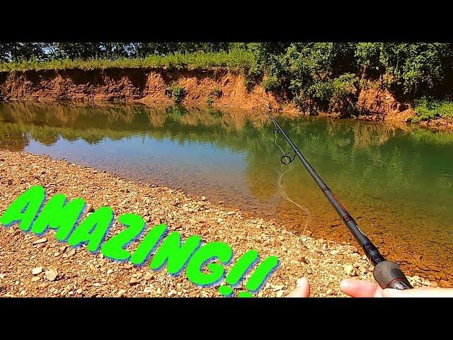 Fishing an INCREDIBLE!! Creek for Big Smallmouth and Rock Bass (PB)