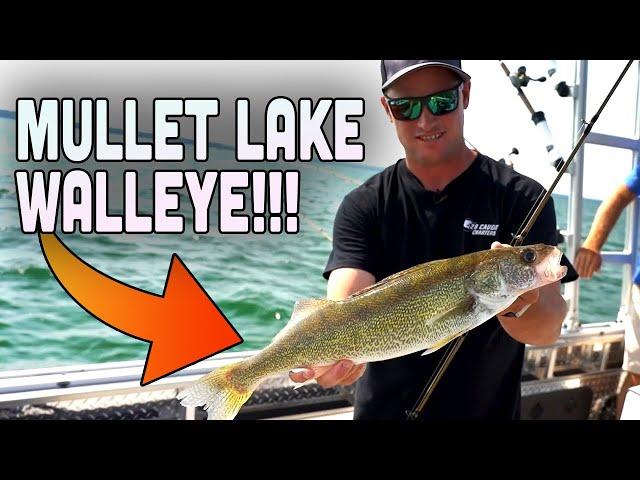 Mullet Lake Walleye Fishing!