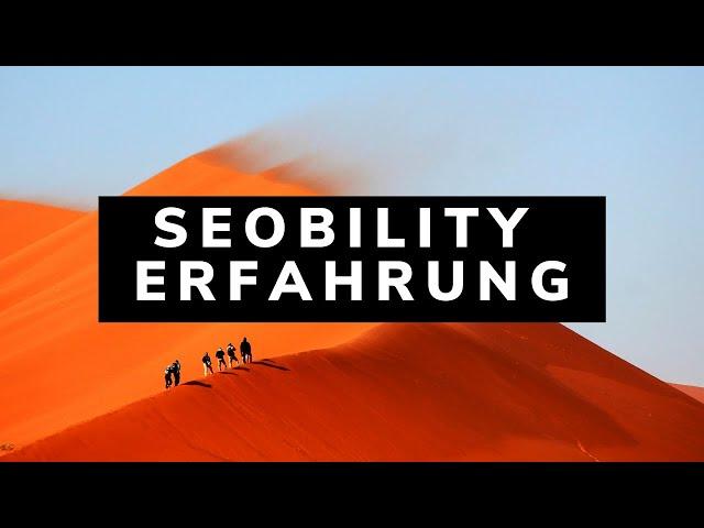 seobility Erfahrungen. Günstiges SEO Tool für deine Suchmaschinenoptimierung