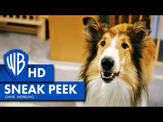 LASSIE - EINE ABENTEUERLICHE REISE - 6 Minuten Sneak Peek Deutsch HD German (2020)