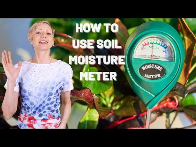 How To Use Soil Moisture Meter To Avoid Over & Under Watering - Houseplant Care Tips