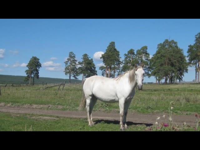 Родная сторона. Село Тирлянский. Башкортостан.