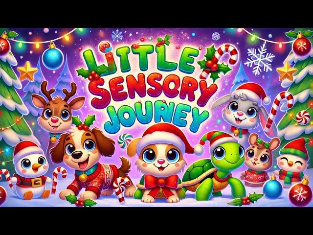 Little Sensory Journeys - Fruit Dance Party  Christmas  Fun animation with music Bear Sensory