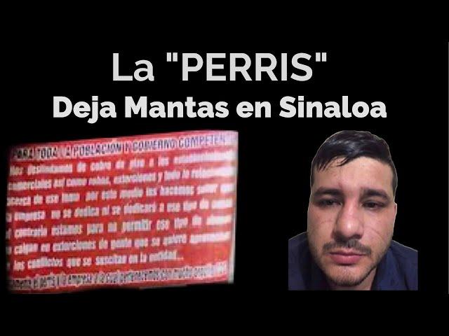 Camilo Ochoa //La Perris deja Narc0 Mantas en Sinal0a