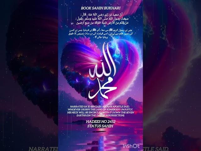 #islamicvideo #hadees #nabivi #saw #love #allah #muhammad #shots