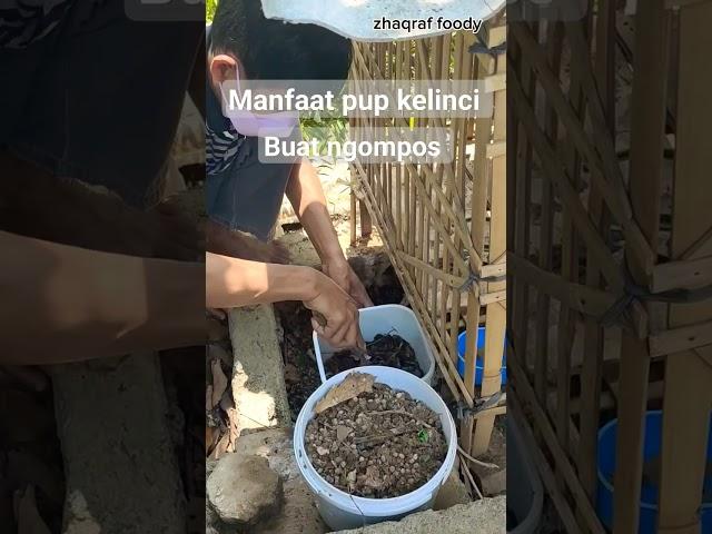 Kotoran kelinci Untuk Ngompos