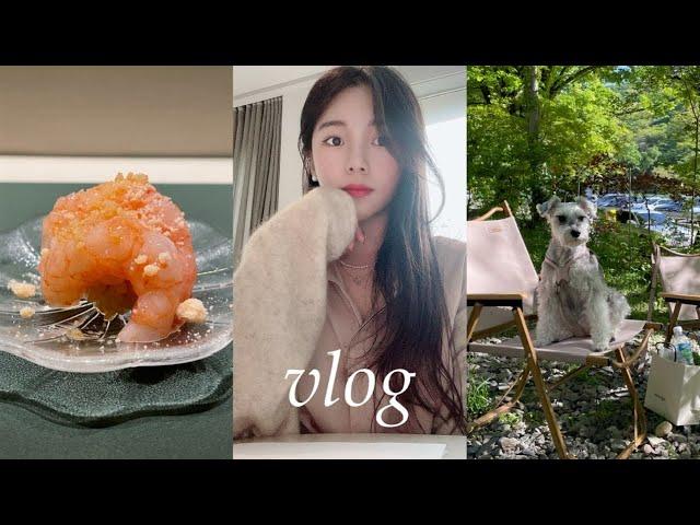 VLOG 제로콤플렉스. 몬드리안 호텔 타카. 스시아라타. 순두부 나들이 애견동반 식당. 스시류코