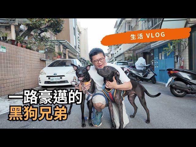 【黑狗兄弟】帶著黑狗散步，一路上人見人怕？ | 黑狗想找貓咪玩