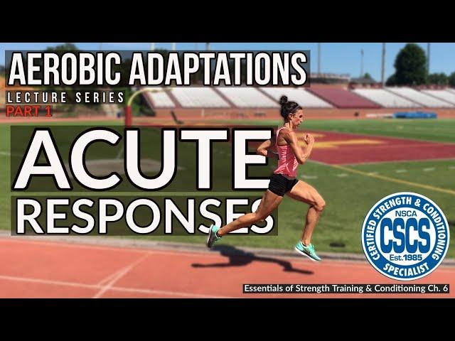 Acute Responses to Aerobic Training | CSCS Chapter 6