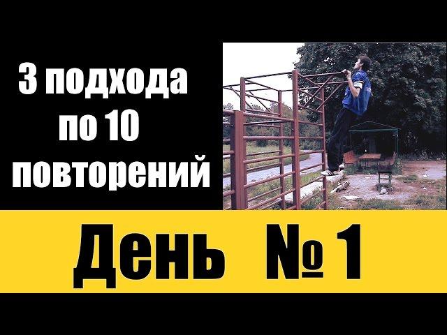 3 подхода по 10 повторений (Подтягивания) - День №1