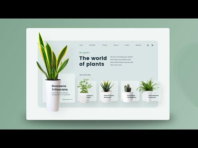 How To Make Website UI Animation In Adobe Xd 