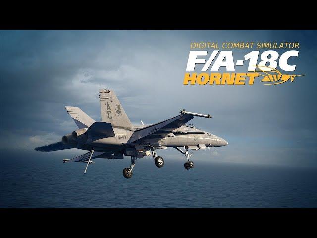 Quality Control: Air to Air Exam 100% | F/A-18 Hornet Flight School Campaign | DCS: World