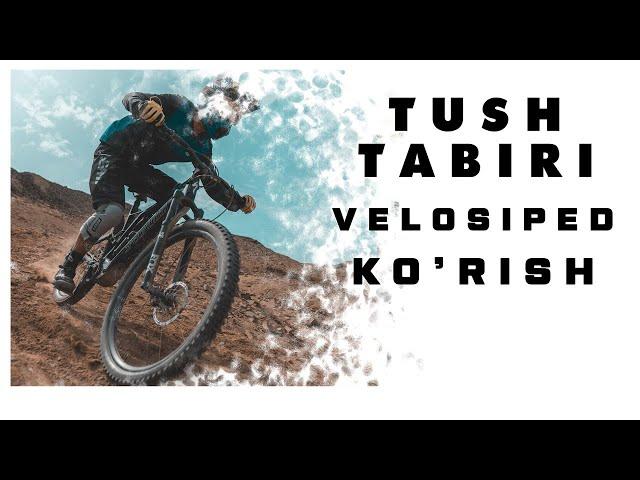 Tushda Velosiped Ko'rish Tabiri