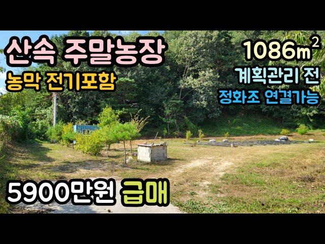 (매물번호13612) 5900만원 보은부동산 1086㎡(329) 보은땅 보은토지매매매물 청주부동산 청주토지 시골땅 촌땅 싼땅 급매 농막 주말농장 전원주택지 집터 대전부동산 대전토지