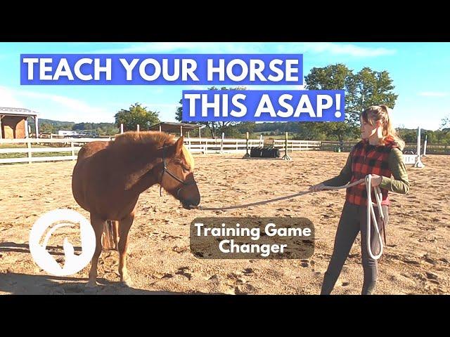 Groundwork For Horses: The Very First Thing I Teach