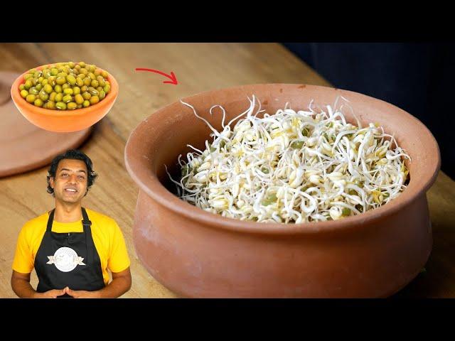 Sprout Mung Beans at Home EASILY  No Equipment Quick Guide  Sprout Health Benefits