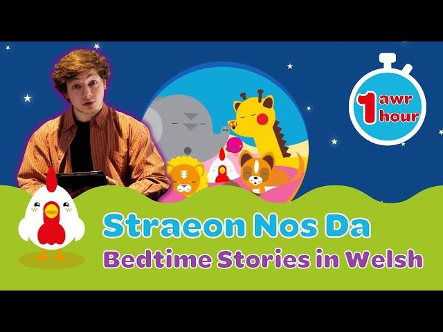 Straeon Amser Gwely Cyw | 1 Hour of Welsh Bedtime Stories