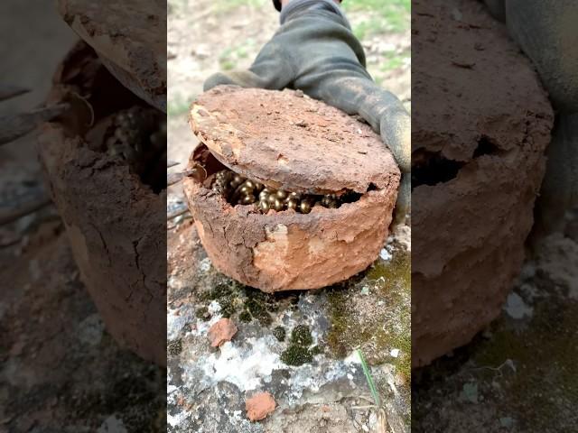 digging for gold adventures in metal detecting #treasurediscoveries #history #metaldetecting #gold