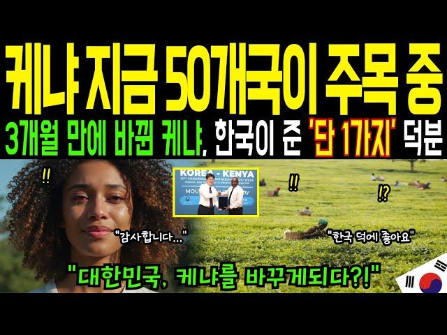 [해외감동사연] "가뭄에 무릎 꿇은 케냐..한국 기술이 싹 틔운 기적" 조건 없는 지원에 세계가 놀란 이유