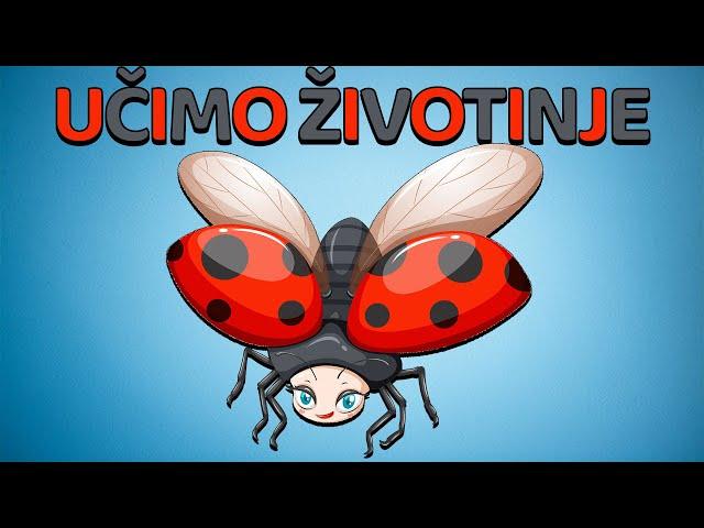 Ucenje Zivotinja 2 | Zivotinje Za Djecu i Bebe | Ucimo decu