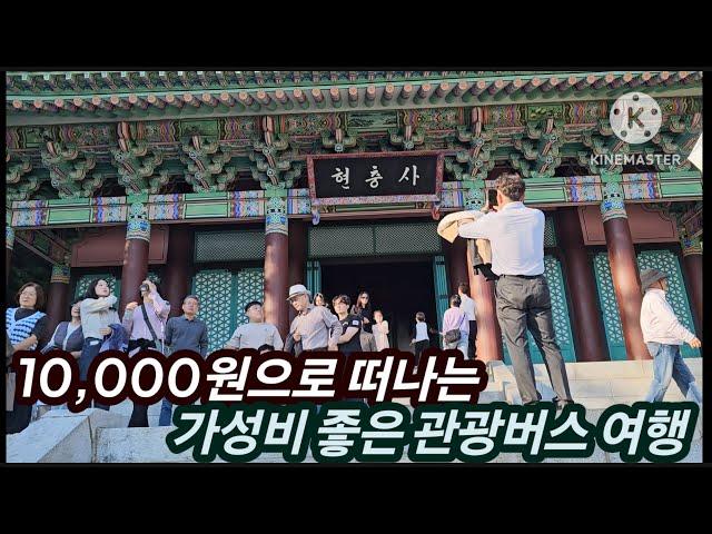 가성비 최고 좋은 10,000원 관광버스 여행 (아산 외암마을 무료입장 , 이순신장군 묘소, 현충사 그리고 고택을 다녀 왔습니다.)