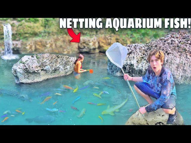 Netting MYSTERY Aquarium Fish in HIDDEN WATERFALL!