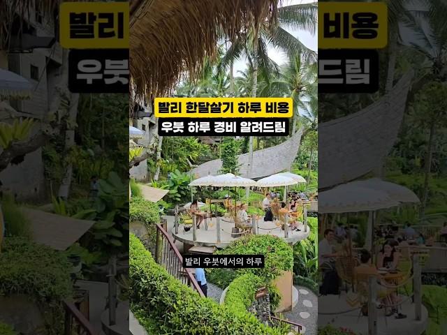 발리 한달살기, 물가 싼 우붓 하루 여행 비용은? #발리 #발리한달살기 #한달살기 #bali #balitravel #우붓 #우붓여행