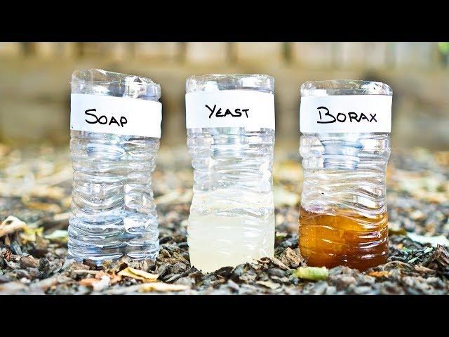 3 DIY Mosquito Trap Comparison Yeast vs Soap vs Borax