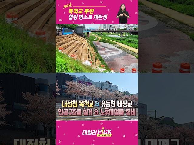 목척교 주변 힐링 명소로 재탄생
