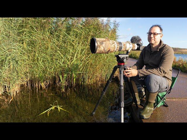 A Relaxing Morning by the Water: Bird Photography in the Field (Canon R6 & EF 500mm F/4 Lens)