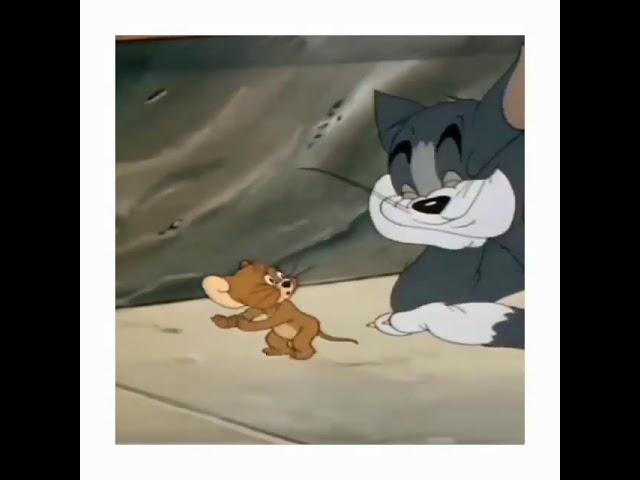 #Soheyana #Sohel #Ariyana #pranamse  Soheyana are Real Tom&Jerry 