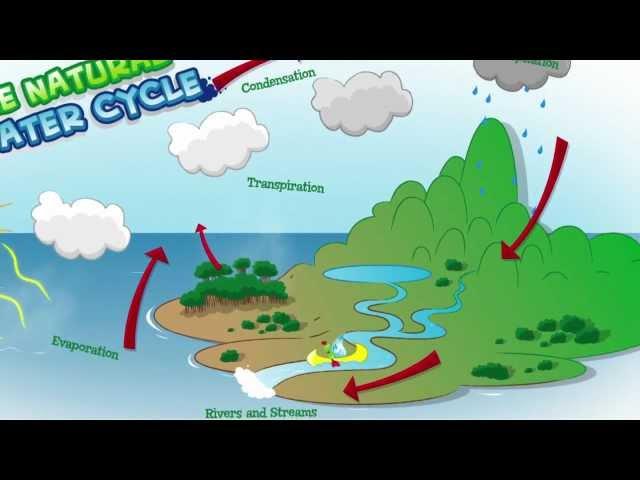 The Barwon Water Cycle