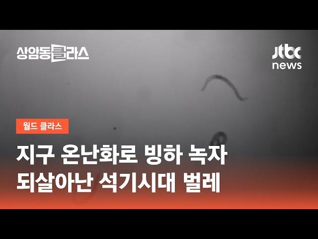 지구 온난화로 빙하 녹자…되살아난 석기시대 벌레 / JTBC 상암동 클라스