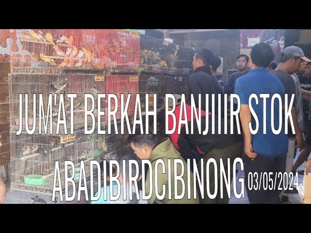 BANJIIIR STOK JUM'AT BERKAH 03/05/2024 ABADIBIRDCIBINONG_update harga & stok burung masteran