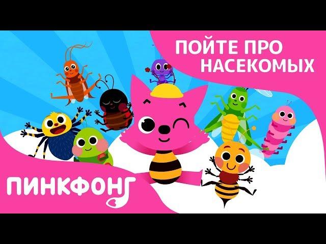 Насекомые | Песни про насекомых | Пинкфонг песни для детей