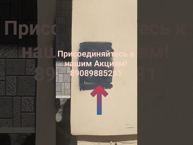 Борьба с Наркокартелями во Владивостоке 2025 Дмитриев Дмитрий