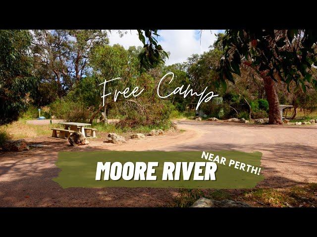 Free Camping Australia | Moore River | Perth Free Camp, walking trail, sheep, facilities & more!