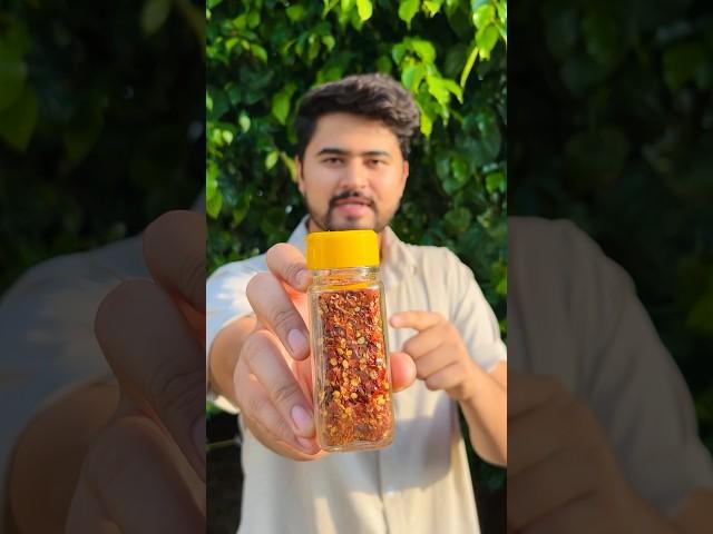 Make chilli flakes at home || Market vs homemade chilli flakes