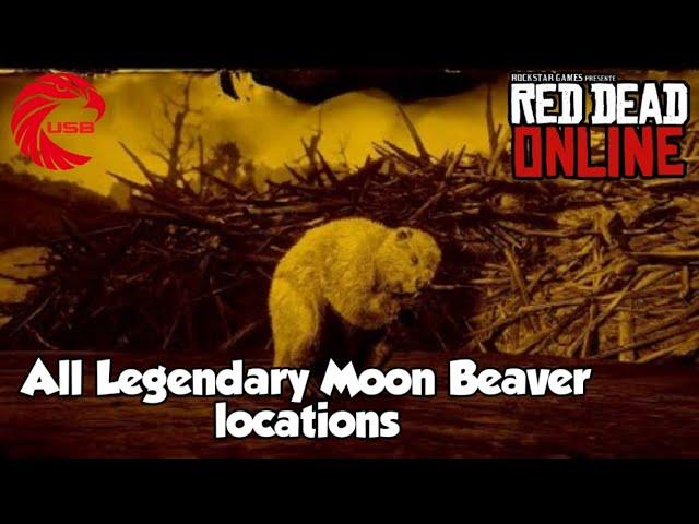 RDR2 Online Legendary Moon Beaver Locations - Red Dead Online Legendary Moon Beaver Locations