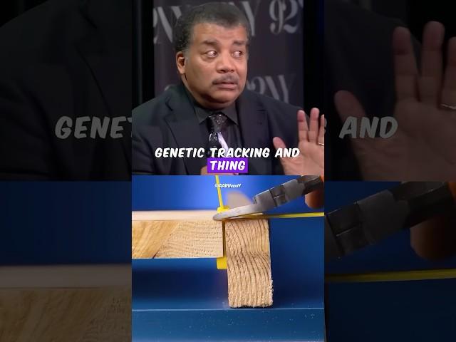Neanderthals Were Smarter Than You Think  | Neil deGrasse Tyson Explains #mindblown