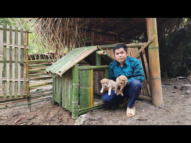 make a house for a dog - khánh / farm building