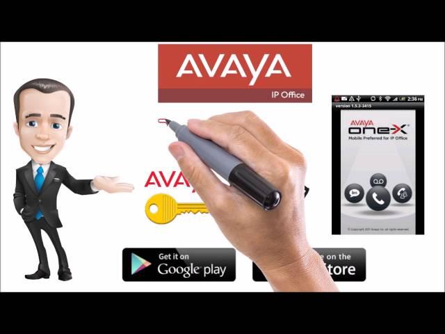 Avaya Phone Systems